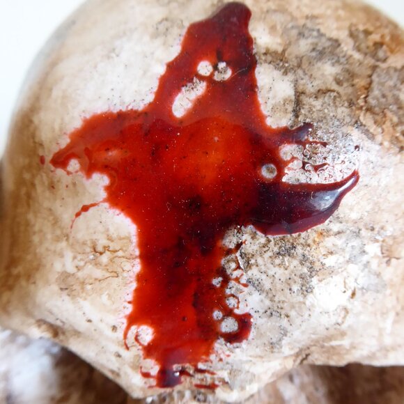 NEW ARTISAN HANDCRAFTED REALISTIC LIFE SIZE HUMAN SKULLS HALLOWEEN PROP ODDITY - Picture 3 of 16